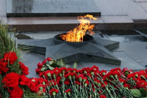 Цветы у вечного огня