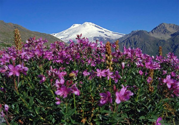 Альпийские Луга Приэльбрусья