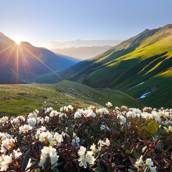 Сванетия Альпийские горы