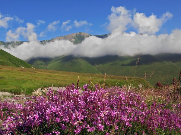 Кавказский национальный парк «Приэльбрусье»