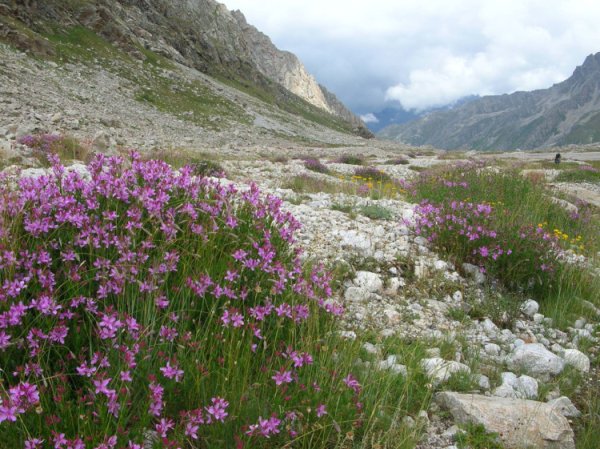 Национальный парк "Приэльбрусье" (Кабардино-Балкария)