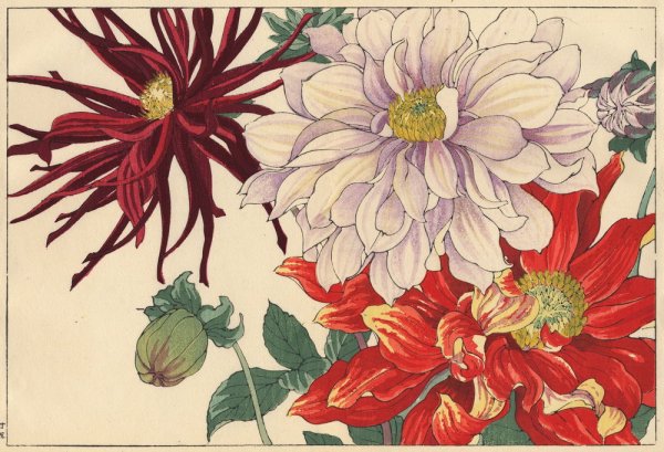 Конана Танигами художник