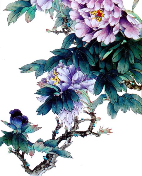 Пионы японские Хайго