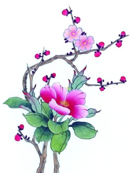 Цветы рисунок