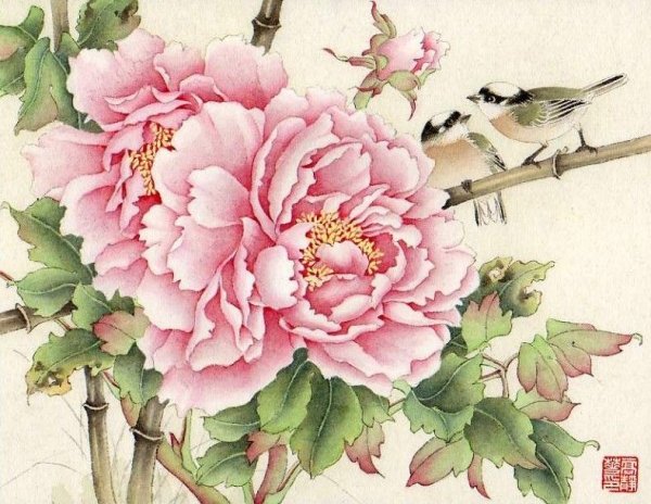 Магнолия гохуа