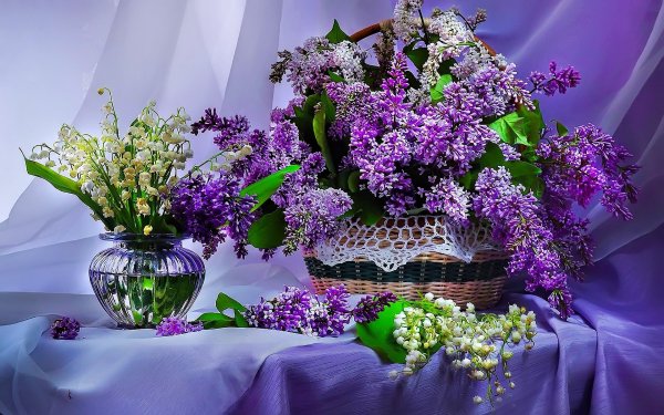 Красивые весенние цветы