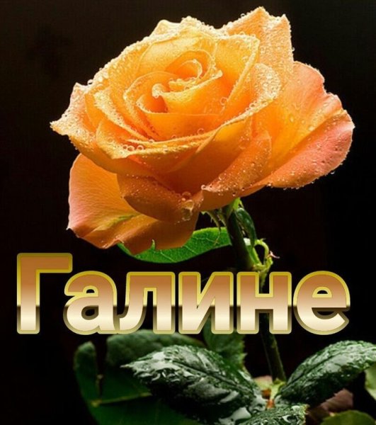 Поздравление Галине