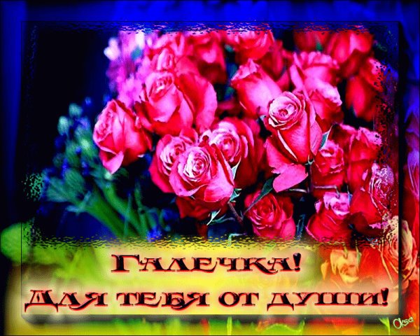 Поздравления с днём рождения галочка