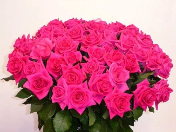 Цветы для галочки