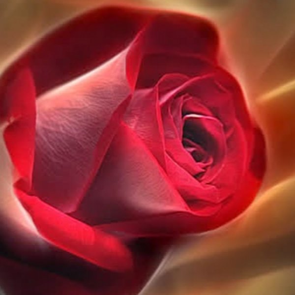 Поздравления с днём рождения Галина