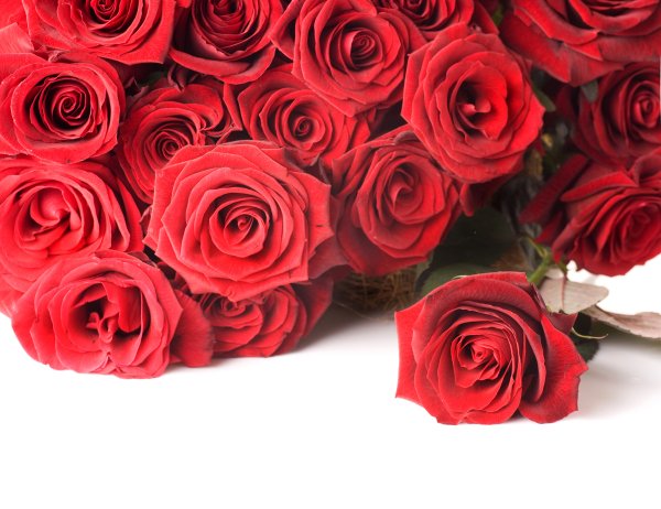 Привет Галина