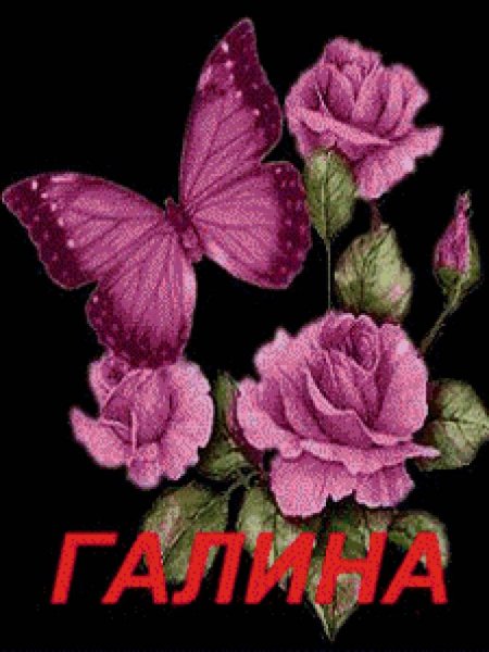 Цветы для Любы