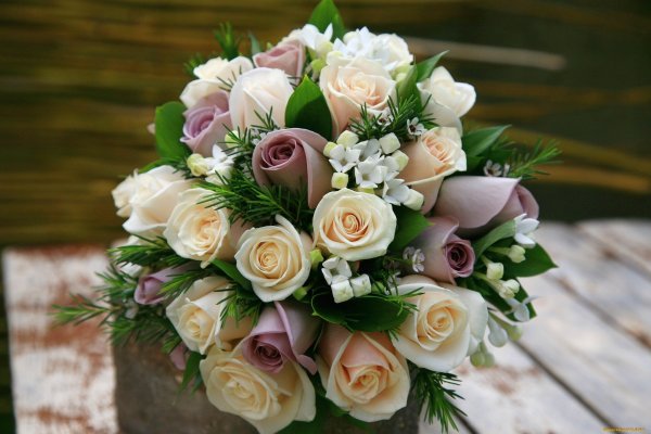 Красивые цветы для Галины