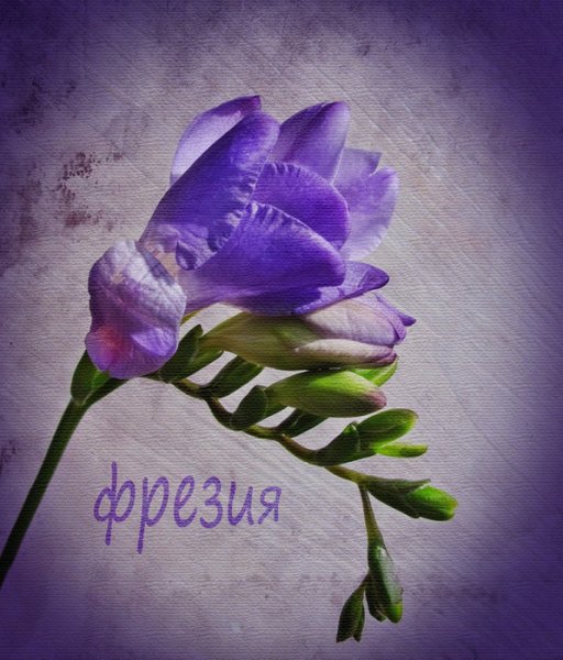 Поздравления от всего сердца