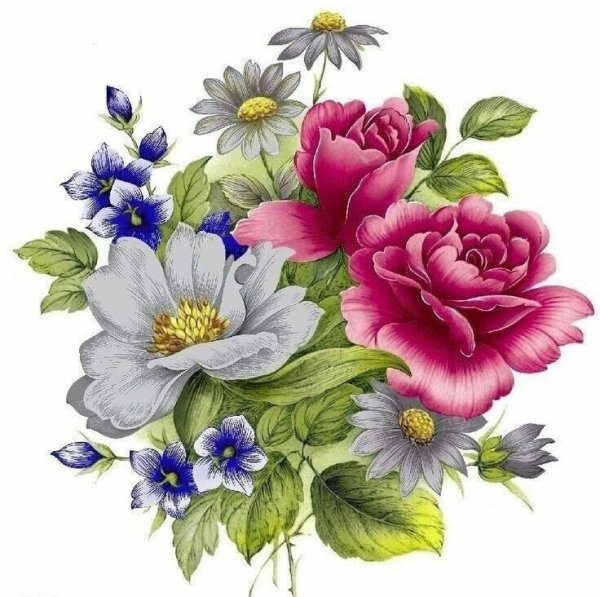 Цветы иллюстрация