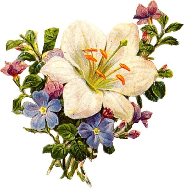 Букетик цветов а ретро