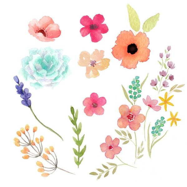 Маленькие цветочки акварелью