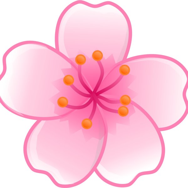 Яблоневый цвет