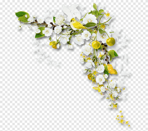 Цветы на прозрачном фоне