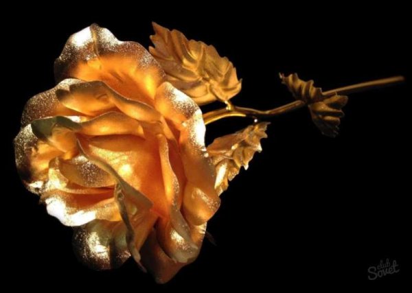 Золотые цветы