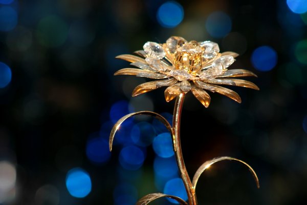 Золотые цветы