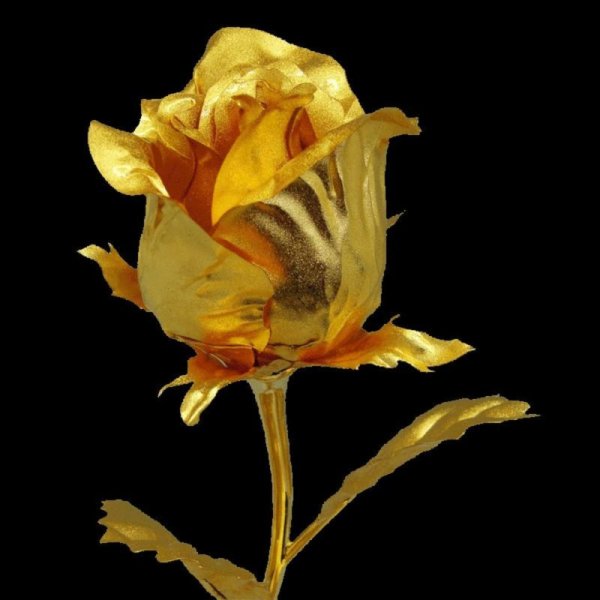 Золотые лепестки