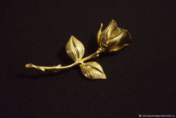 Золотая роза цветок