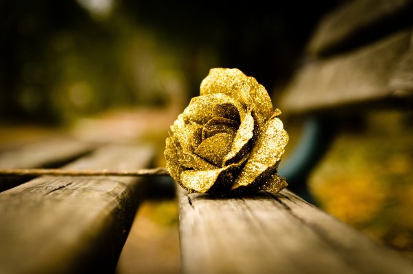 Золотые цветочки