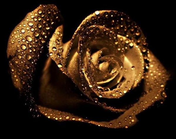 Золотые цветы