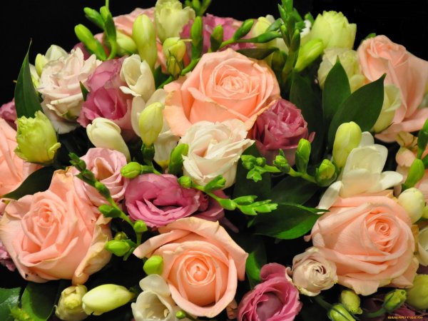 Красивый букет цветов