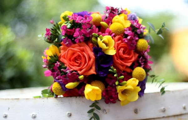 Астра Pink Bouquet