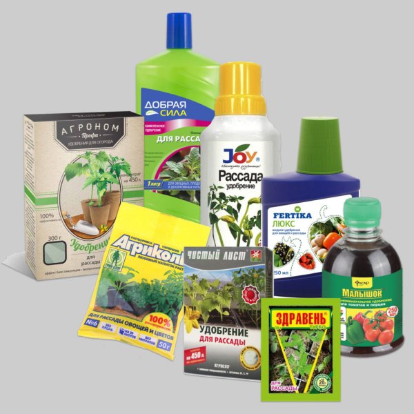 Удобрение для рассады