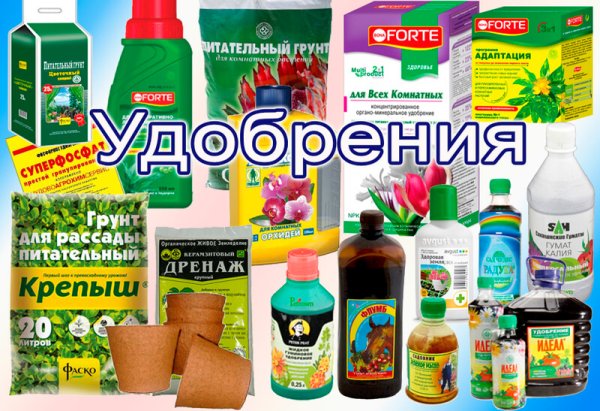 Удобрения для растений