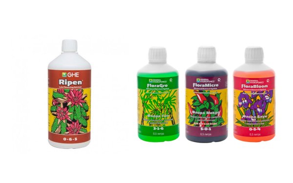 Ghe Flora Series+ghe Ripen