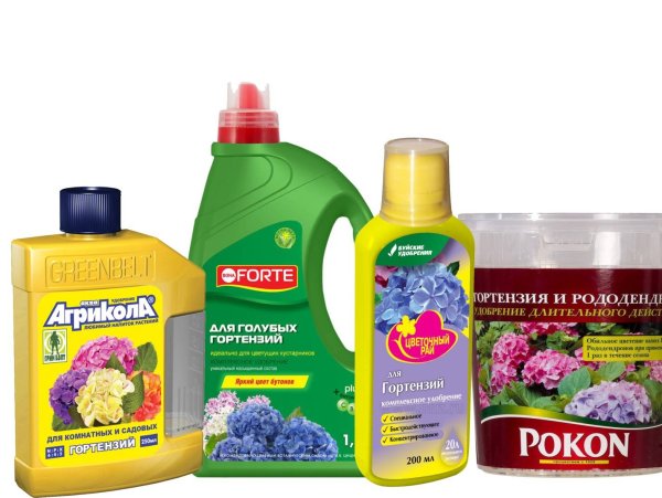 Удобрение для метельчатой гортензии весной