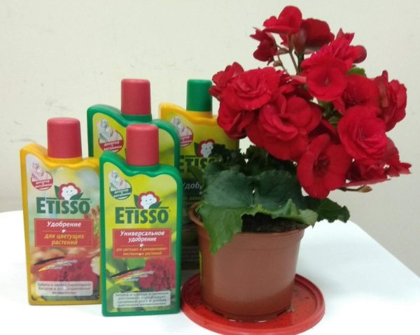 Немецкое удобрение для цветов