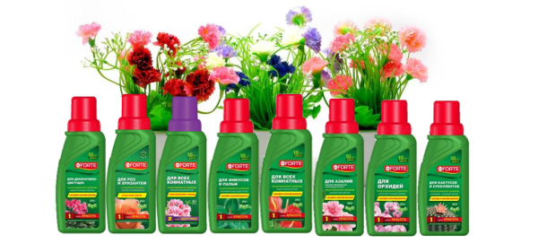 Бона форте для орхидей 10 мл