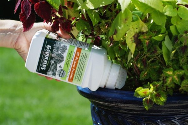 Удобрения для растений