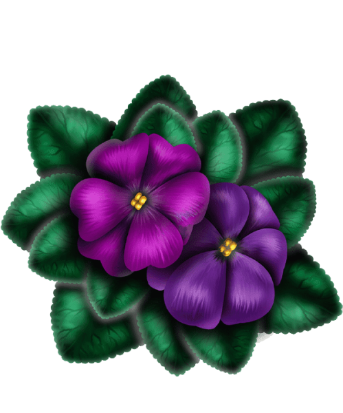 Фиалка эмблема