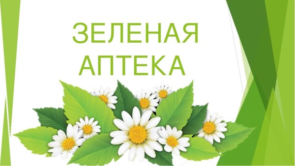 Лечебные растения