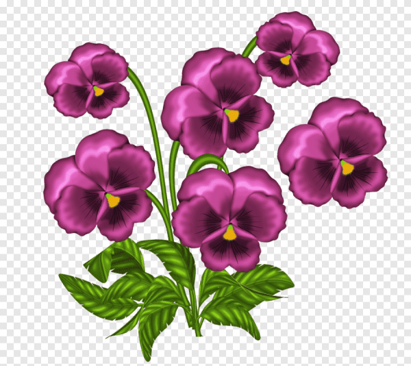 Анютины глазки для детей