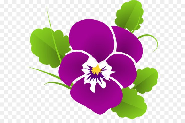 Фиалка трафарет