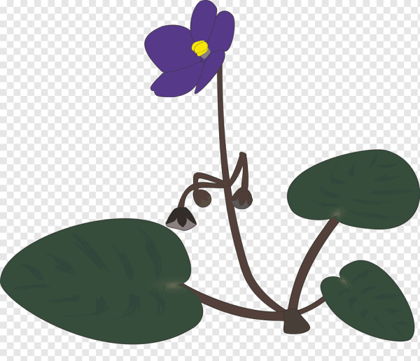 Фиалка сиреневая Вейв