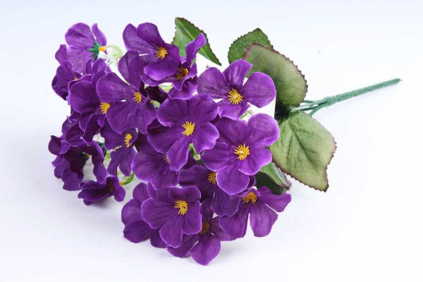 Вазон узамбарская фиалка