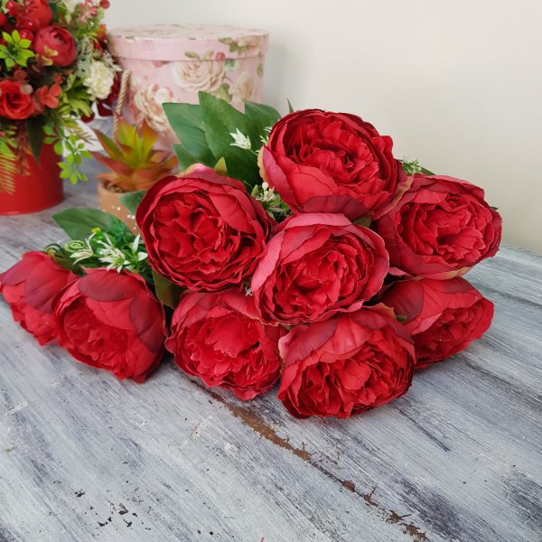 Пион габитус