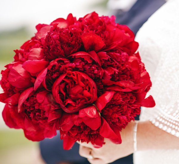 Пион ред Шарм