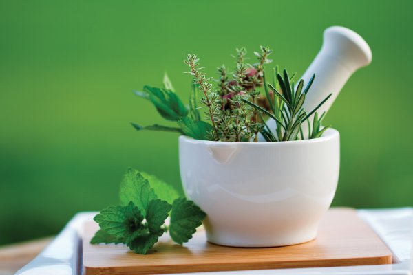 Полезные растения