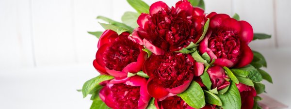 Пионы марсала