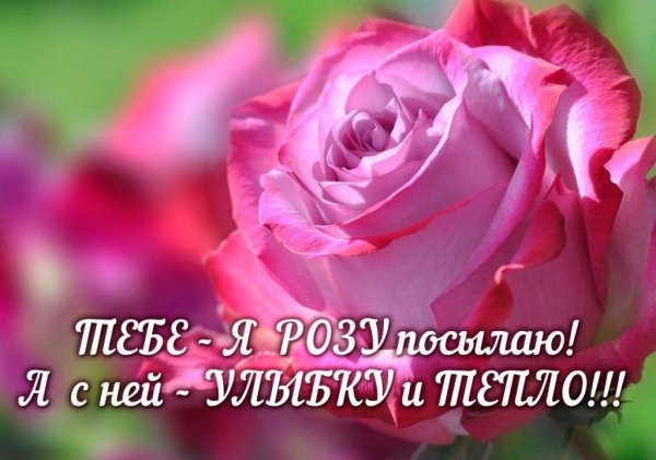 Цветы для Наташи