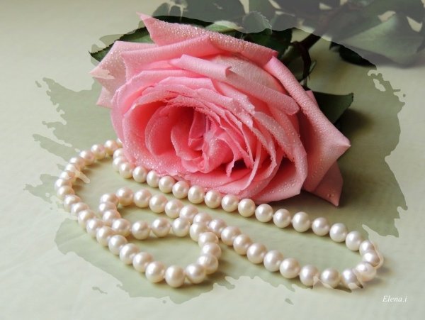 Розы с бусами